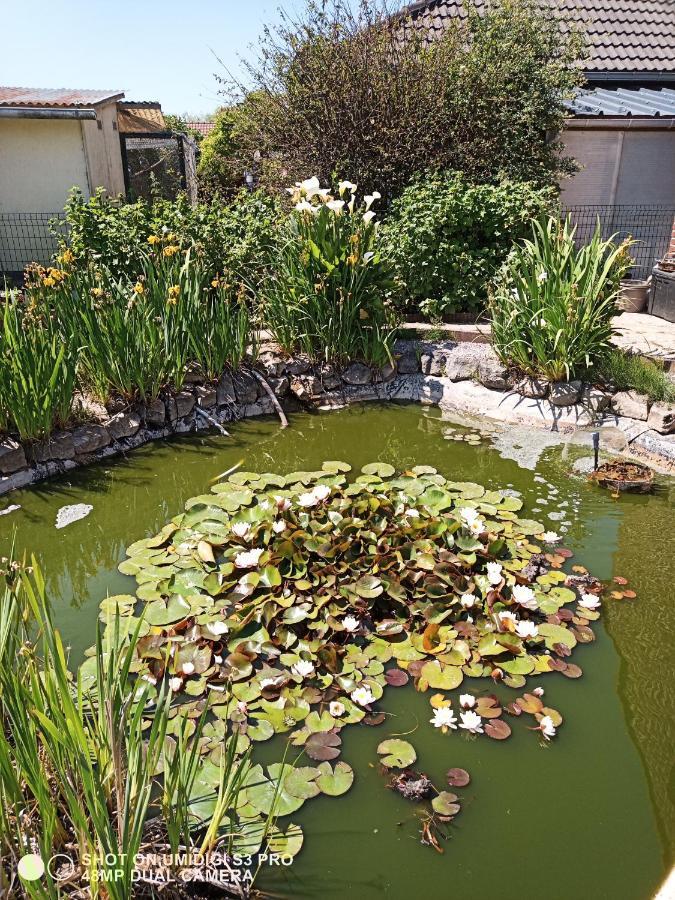 Le Lion Des Flandres Villa Ruminghem Esterno foto